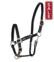 Waldhausen Star Leather Halter-Horse Tack-Can Pro Equestrian Supply-Pony-Black-Evolution Equestrian Co.