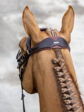 Load image into Gallery viewer, LeMieux Kudos Competition Flash English Bridle
