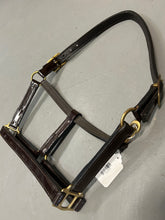 Load image into Gallery viewer, Patent Leather Brown Horse Halter
