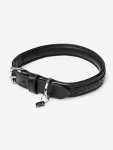 Load image into Gallery viewer, LeMieux Oxford Dog Collar

