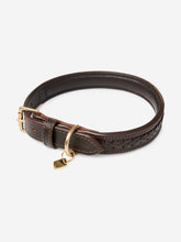 Load image into Gallery viewer, LeMieux Oxford Dog Collar
