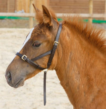 Load image into Gallery viewer, Shires Blenheim Leather Foal Slip Halter

