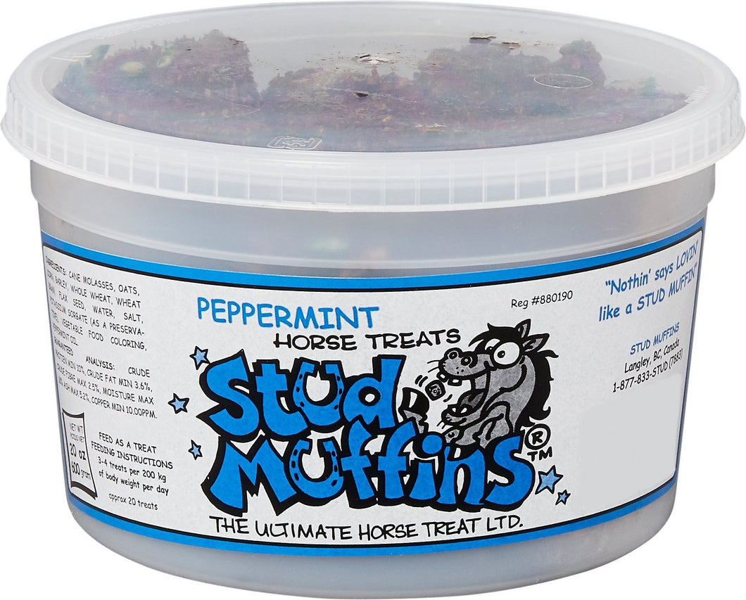 Stud Muffins Horse Treats Peppermint 20oz Bucket
